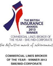 British insurance award winner 2013